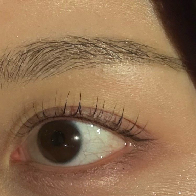 Bebelle Beauty Detailed Lash Work