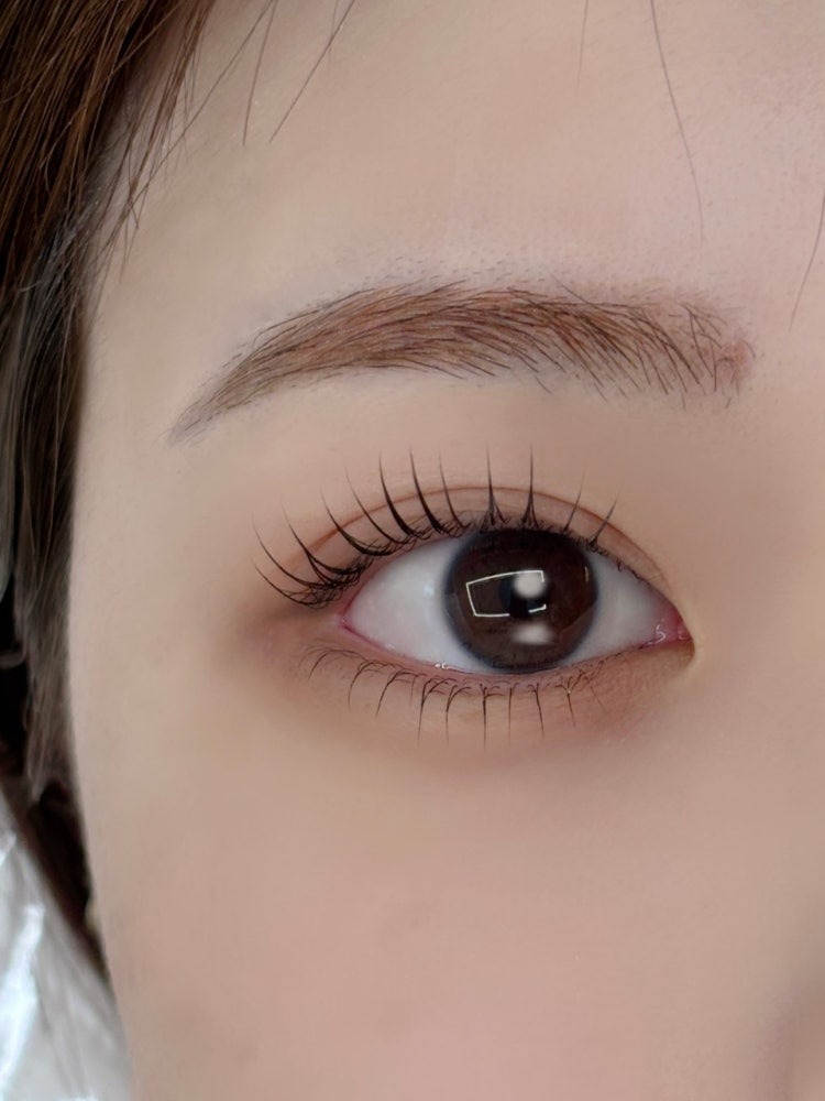 Bebelle Beauty Classic Lash