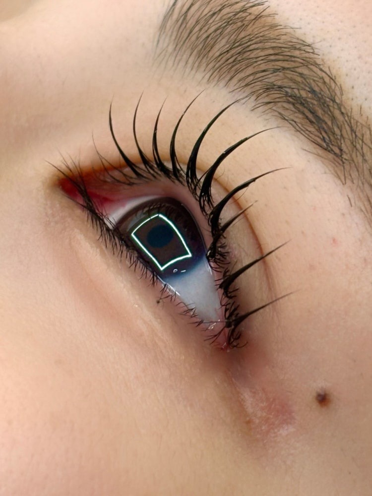 Bebelle Beauty Lash Definition